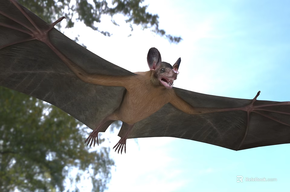 Bat Showing Wide Wings While Gliding Through Air Near Trees 3d model