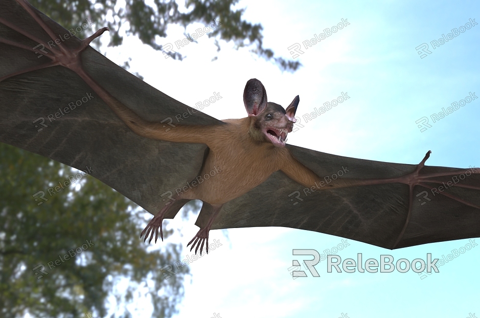 American false vampire bat animal model