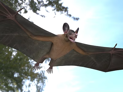 Bat Showing Wide Wings While Gliding Through Air Near Trees 3d model