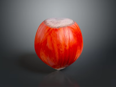Vibrant Red Hazelnut With White Top And Smooth Glossy Surface 3d model