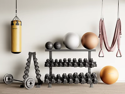 Sports Equipment With Punching Bag Exercise Balls Dumbbell Rack And Yoga Hammock 3d model