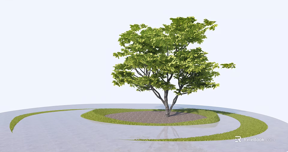Lush Green Leafy Tree Growing In Circular Grass And Concrete Ground Area 3d model 
