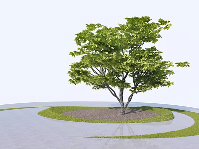 Lush Green Leafy Tree Growing In Circular Grass And Concrete Ground Area 3d model