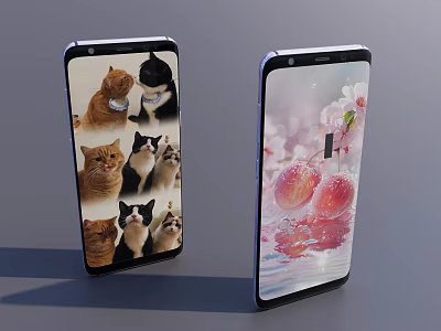 Two Mobile Phones With Screen Images Of Cats Cherry Blossoms And Water Droplets 3d model