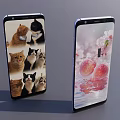 Two Mobile Phones With Screen Images Of Cats Cherry Blossoms And Water Droplets