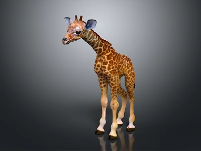 Baby Spotted Giraffe with Long Neck Standing in Gray Reflective Environment 3d model