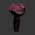 Beautiful Pink Rose Flower With Layered Petals And Brown Stem On Gray Background