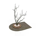 Decorative Potted Bare Branches In Round Pot With White Sand And Mat Base
