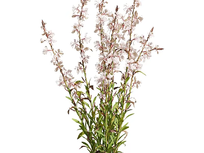 Pink Flowers With Green Stems And Leaves Decorative Floral Bouquet 3d model
