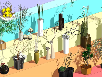 Decorative Bonsai Potted Plants with Various Shaped Pots and Indoor Display Setup 3d model