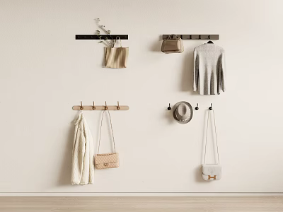 Wall Mounted Hooks For Hanging Coats Bags Hats And Accessories In Modern Home 3d model