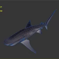 Striped Purple Shark 3D Rendered Full Body View On Gray Background