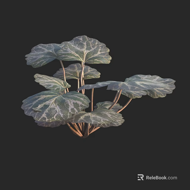 Beautiful Leafy Green Plant With Variegated Leaves And Brown Stems Against Black Background 3d model 