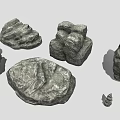 Natural Wood and Stone Decorative Pieces Featuring Unique Organic Textured Surfaces