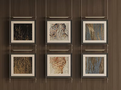 Modern Photo Wall With Six Framed Artworks Featuring Various Textures 3d model