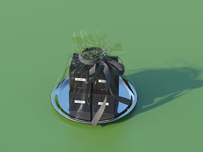 Elegant Decorative Ornament Set with Black Boxes Silver Tray and Ribbon on Green Background 3d model