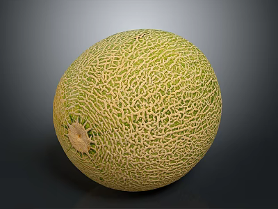 Fresh Ripe Cantaloupe Melon With Net like Skin And Sweet Juicy Flesh 3d model