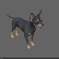 Black and Tan Dog With Erect Ears Standing In 3D Render Against Gray Background