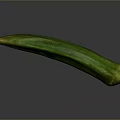 Fresh Green Okra Vegetable a Nutritious Ingredient for Healthy Cooking Dishes