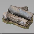 Natural Wood Logs With Intricate Texture Placed On Stone Base Covered In Green Moss