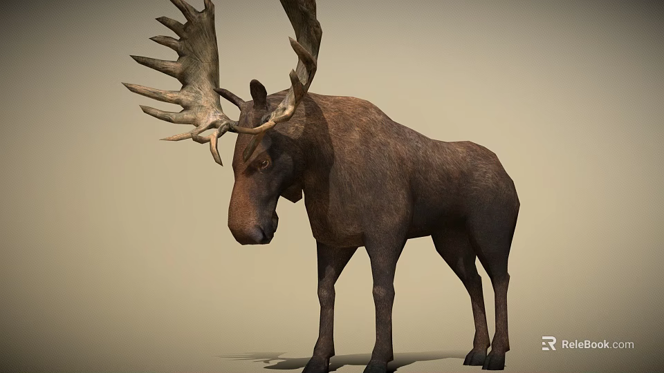 Realistic Moose With Large Antlers Brown Body Standing On Light Background 3d model 