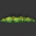 Lush Green Grass Cluster With Vibrant Foliage And Natural Texture