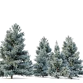Garden Decor With Evergreen Trees And Person Silhouette In Lush Foliage