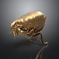 Golden Furry Flea Detailed Close up View on Black Background with Reflection