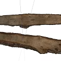 Natural Wood And Stone Slabs With Textured Surface And Bark Details