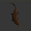 3D Rendered Crocodile Model with Red Orange Skin Open Mouth Sharp Teeth Dark Background Reflection