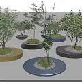 Colorful Circular Tree Planters With Green Plants And White Pebbles Design
