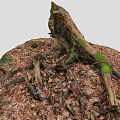 Tree Stump Covered with Green Moss Surrounded by Fallen Leaves and Dead Branches