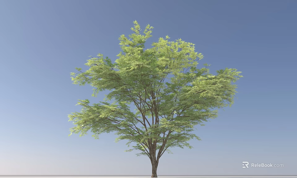 Single Arbor with Green Leaves and Brown Trunk Against Blue Sky Background 3d model 