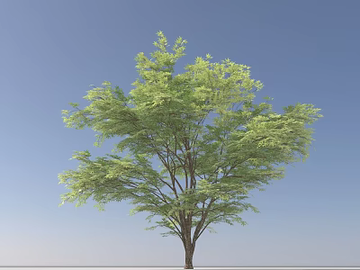 Single Arbor with Green Leaves and Brown Trunk Against Blue Sky Background 3d model