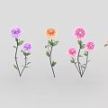 Beautiful Multicolored Flowers With Pink Purple Orange Blooms And Green Leaves