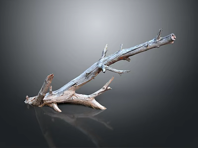 Natural Dry Wooden Branch With Rough Texture And Decorative Shape 3d model