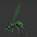 Green Insect Model With Shiny Surface Long Legs And Wings On Dark Background 3d model
