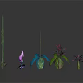Various Colorful Plants With Blue Purple Pink Flowers And Green Leaves Against Dark Background