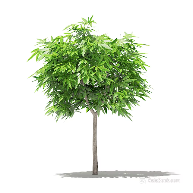 Lush Green Tree With Dense Foliage And Brown Trunk In Natural Setting 3d model 
