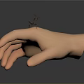 Detailed Ant Crawling On Human Hand With Realistic Skin And Leg Texture