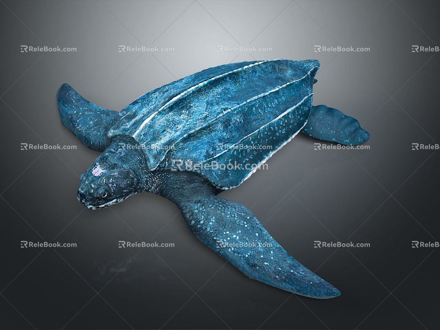 Modern Turtle Turtle Cartoon Turtle 3d model