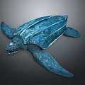 Modern Turtle Cartoon Turtle 3d model