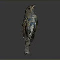 Handcrafted Bird Sculpture With Vibrant Blue Brown Feathers On Neutral Gray Background