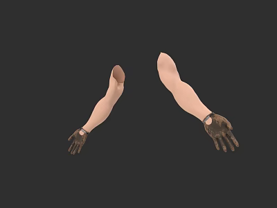 First Person View Arm Gloves Low Polygon 3d model