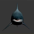 Shiny Blue Shark With Glossy Surface On Dark Background And Reflection 3d model