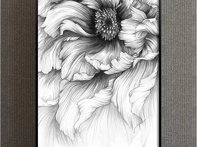 Black And White Botanical Drawing Of Detailed Flower With Intricate Petals Art 3d model