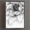 Black And White Botanical Drawing Of Detailed Flower With Intricate Petals Art