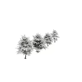 Snow Covered Shrubs Four in Varying Sizes Arranged Against Light Colored Background With Ground Shadows