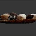 Decorative Ornament Set With Various Textured Spheres Pinecones And Seashells In Wooden Tray