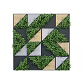 Modern Geometric Living Wall with Green Foliage Wooden Panels and Black Frames